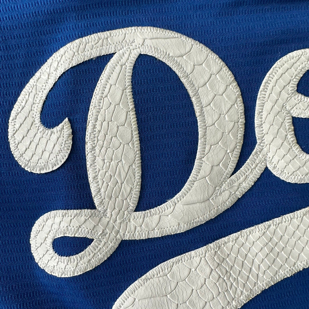 Hometown Dsnylandia Baseball Jersey- Snake Skin