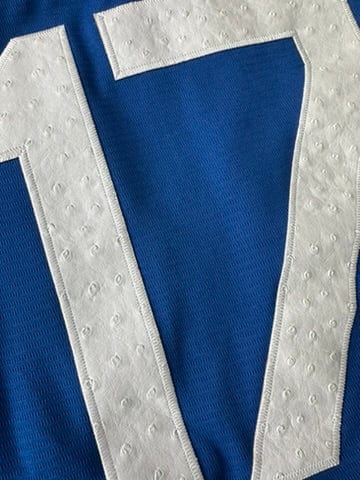 Hometown Dsnyland  Baseball Jersey- Ostrich