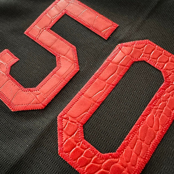 Hometown Dsnyland  Baseball Jersey- Crocodile Skin
