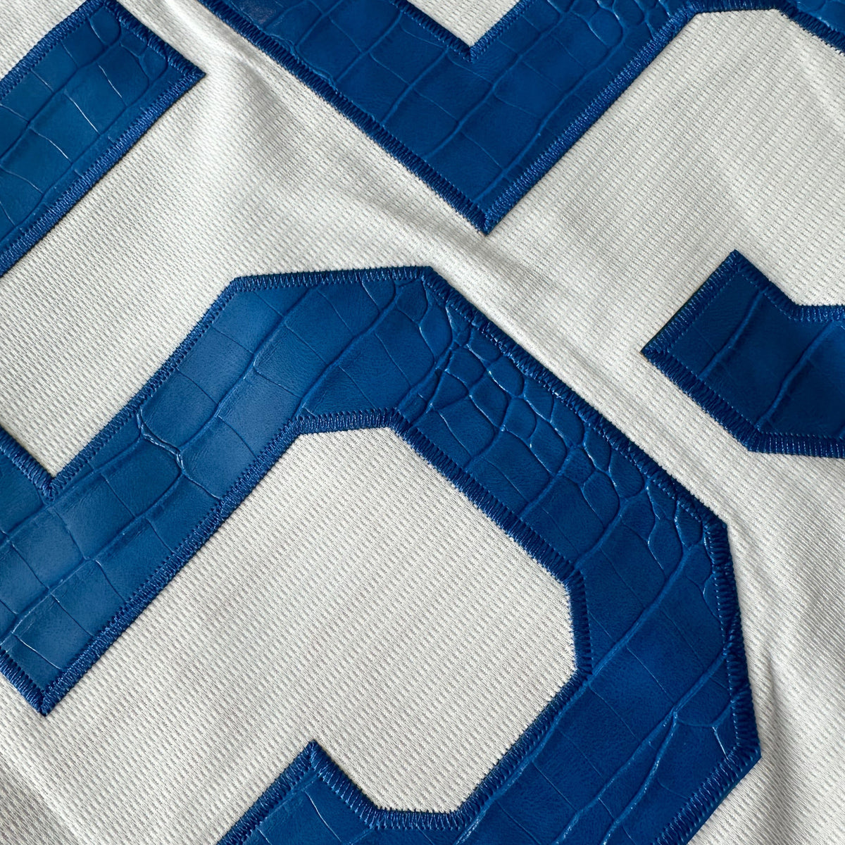 Hometown Dsnyland  Baseball Jersey- Crocodile Skin