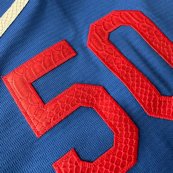 Hometown Dsnylandia Baseball Jersey- Snake Skin