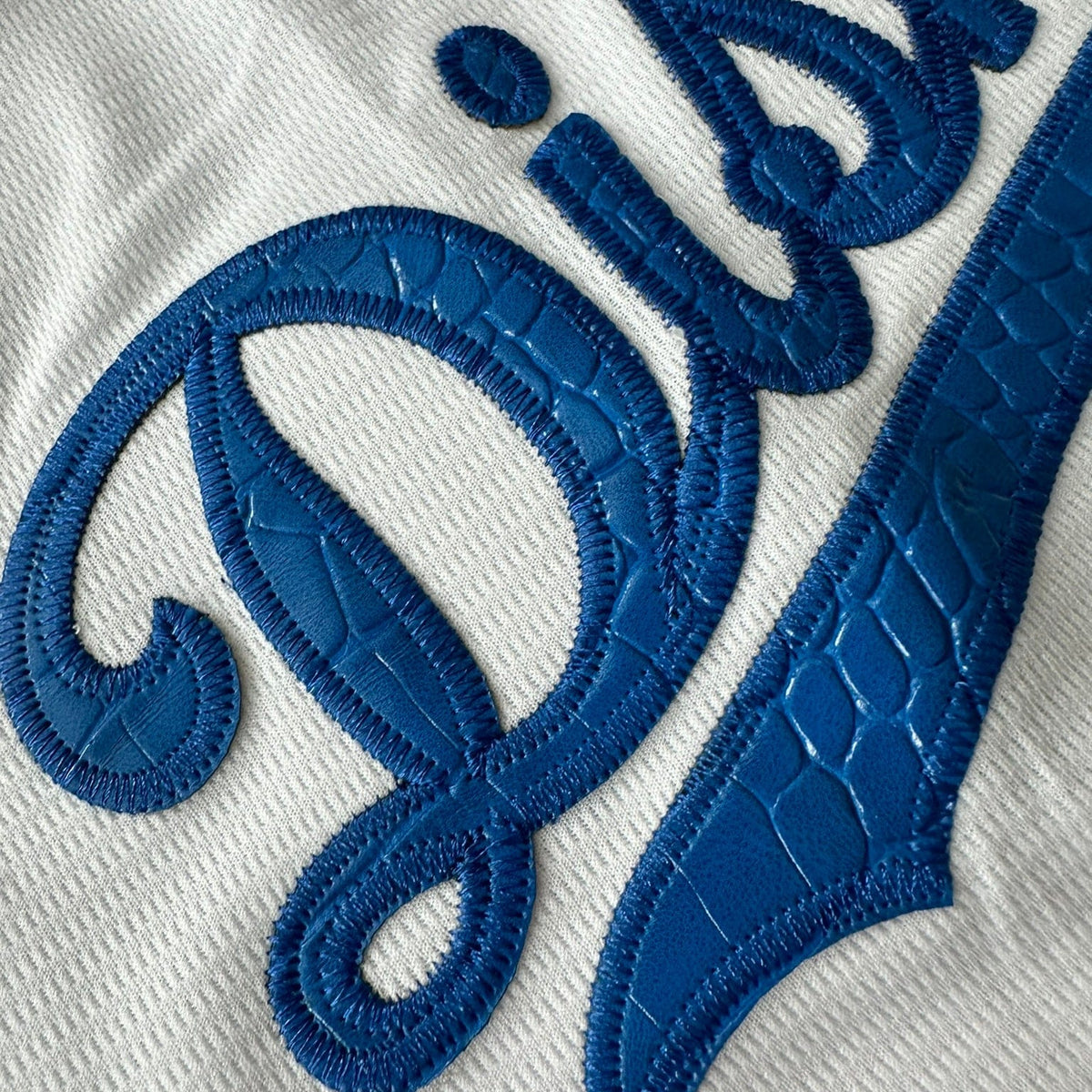 Hometown Dsnyland  Baseball Jersey- Crocodile Skin