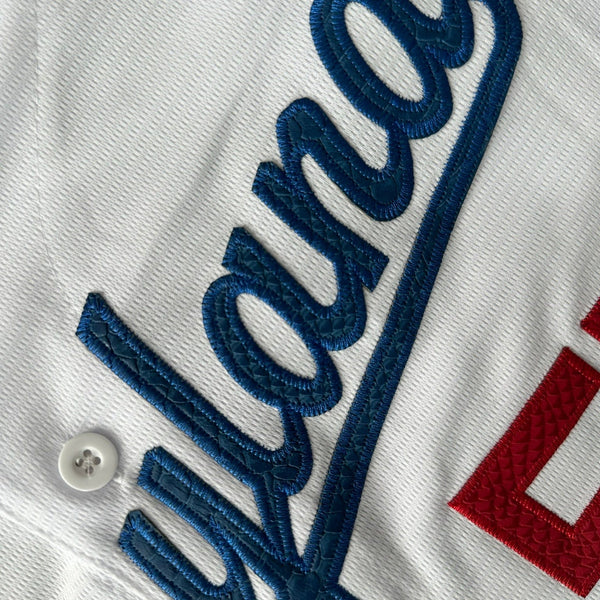 Hometown Dsnylandia Baseball Jersey- Snake Skin