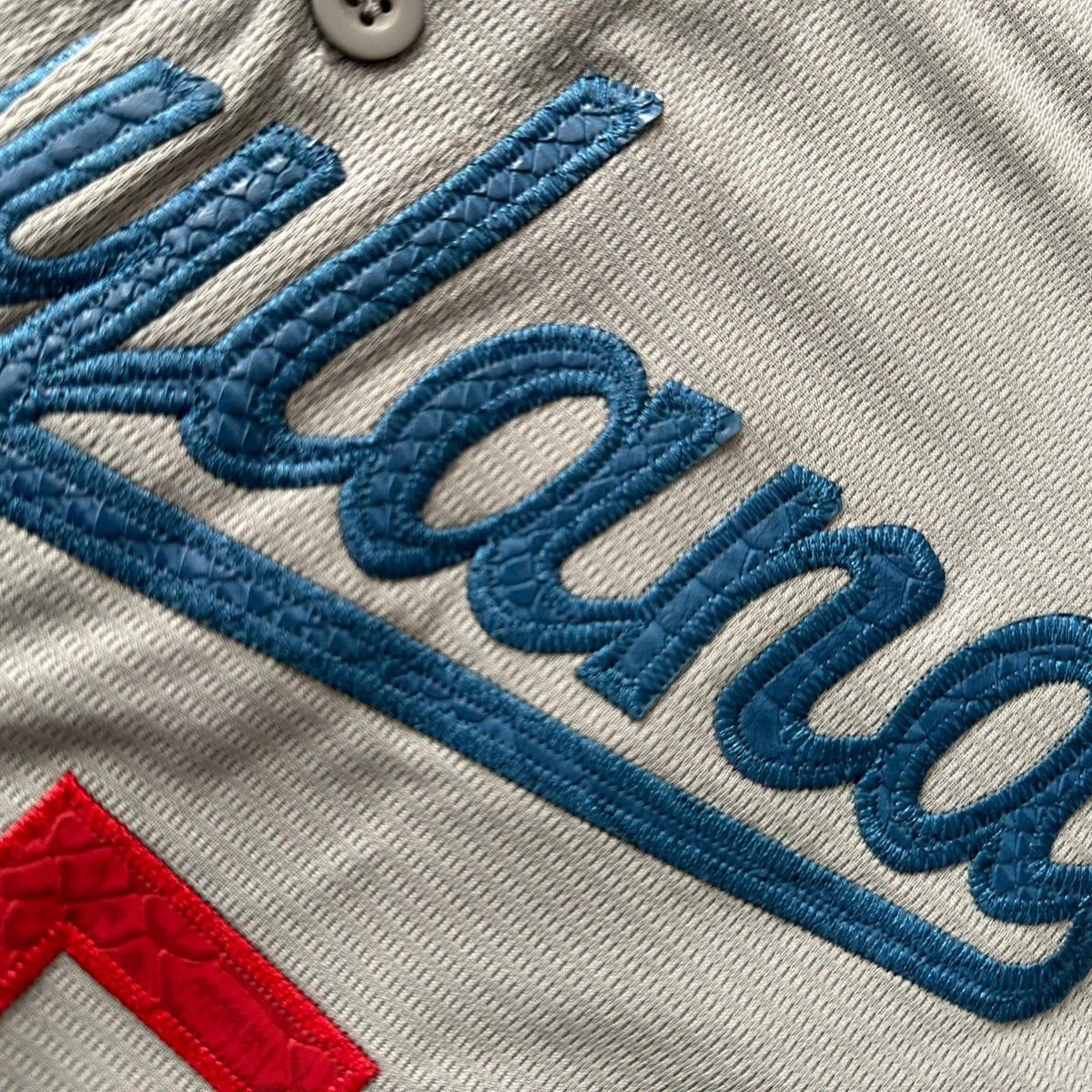 Hometown Dsnylandia Baseball Jersey- Snake Skin