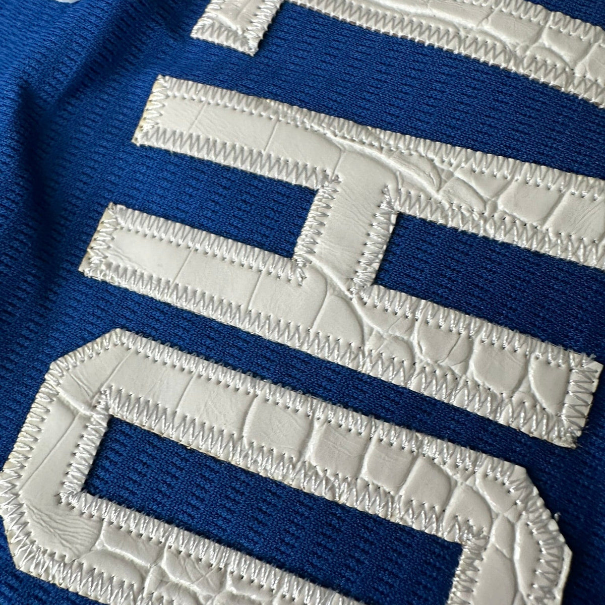 Hometown Dsnyland  Baseball Jersey- Crocodile Skin