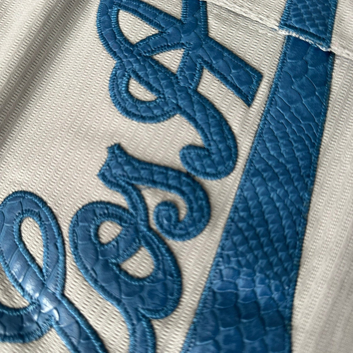 Hometown Dsnylandia Baseball Jersey- Snake Skin