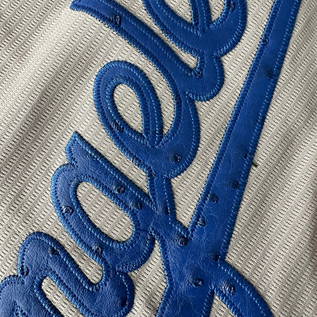 Hometown Dsnyland  Baseball Jersey- Ostrich