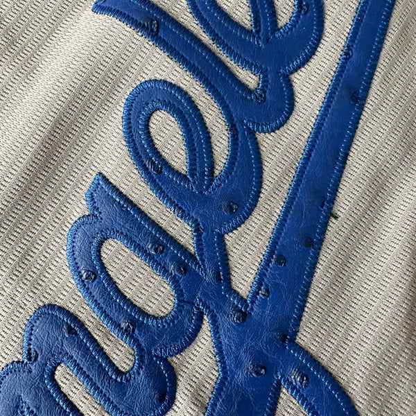 Hometown Dsnyland  Baseball Jersey- Ostrich