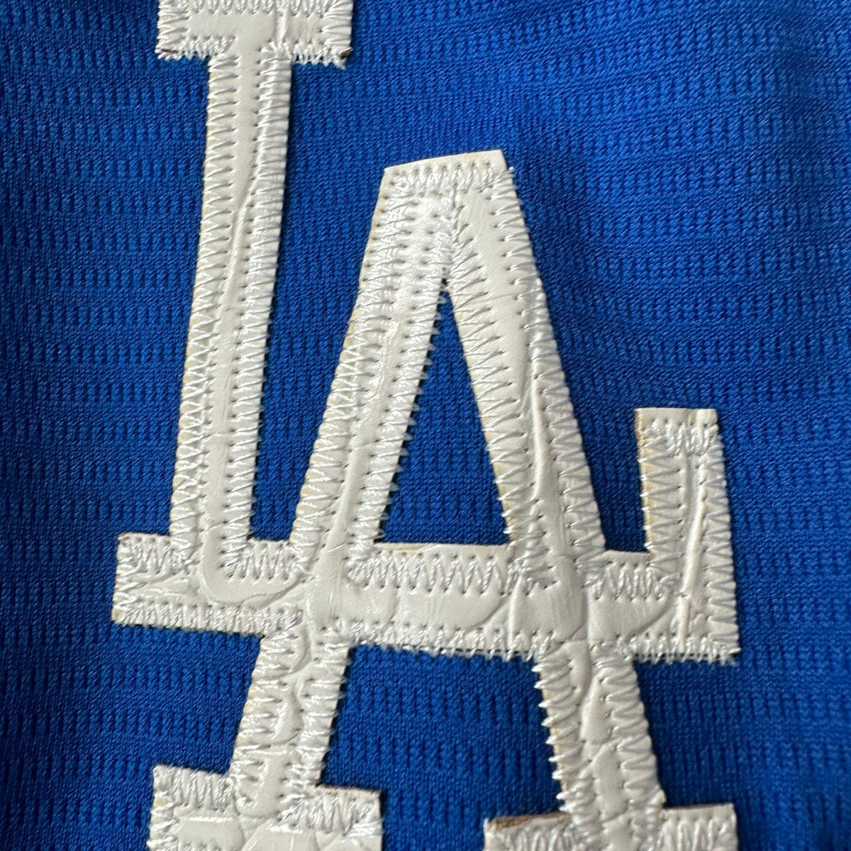 Hometown Dsnyland  Baseball Jersey- Crocodile Skin
