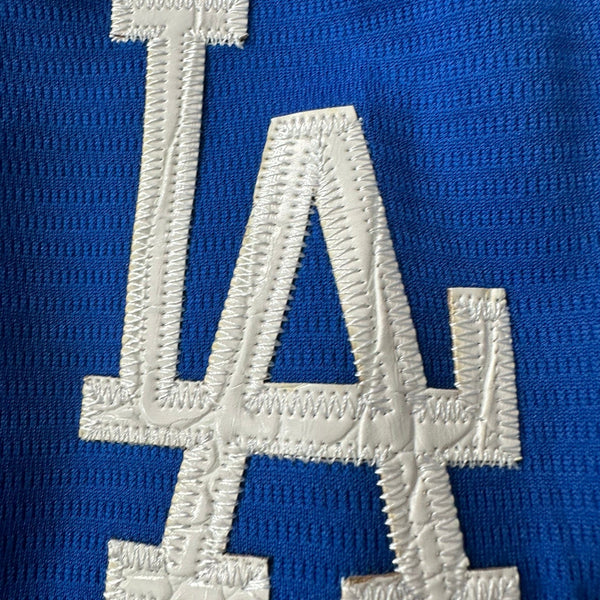 Hometown Dsnyland  Baseball Jersey- Crocodile Skin