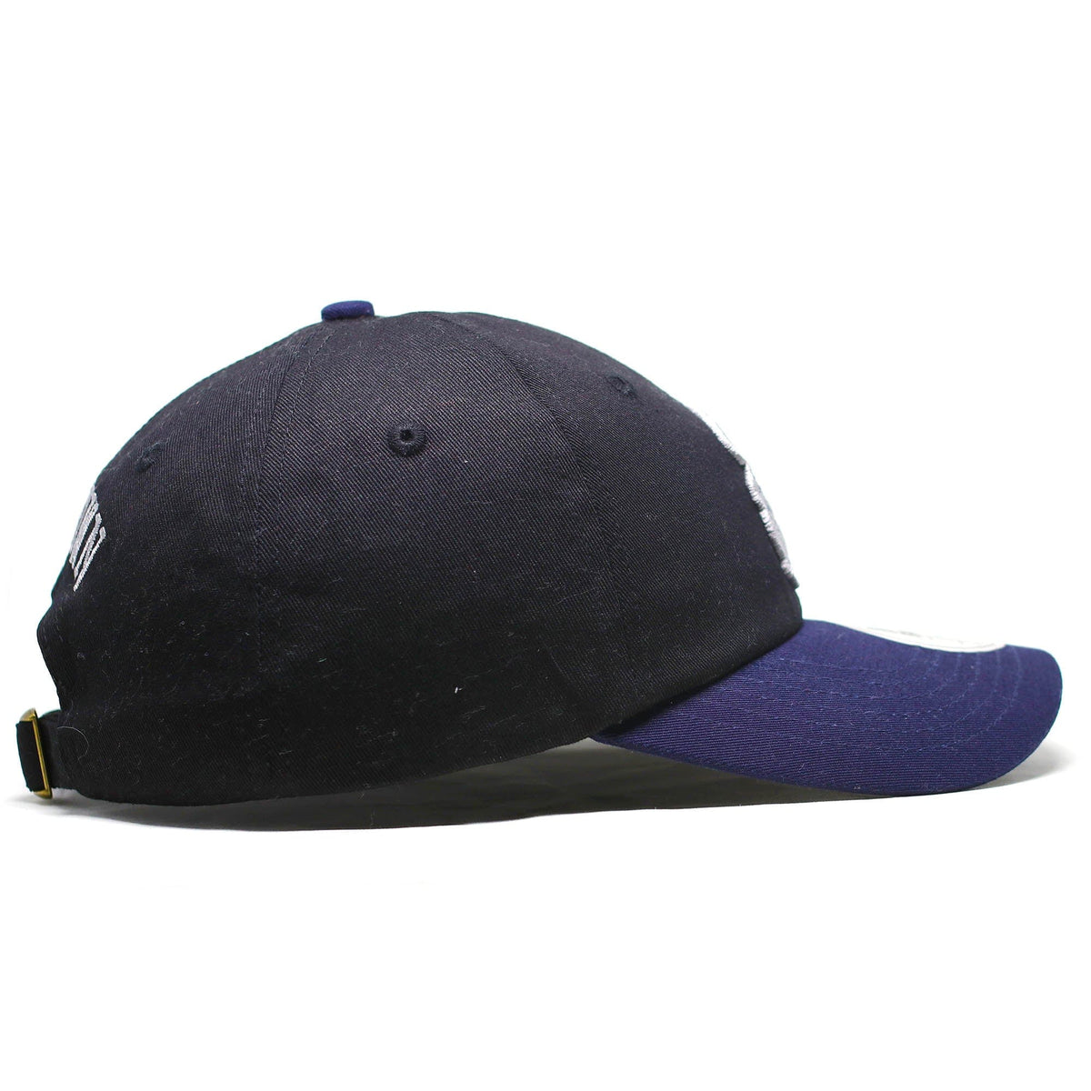 Pete Toontown- Dad Hat