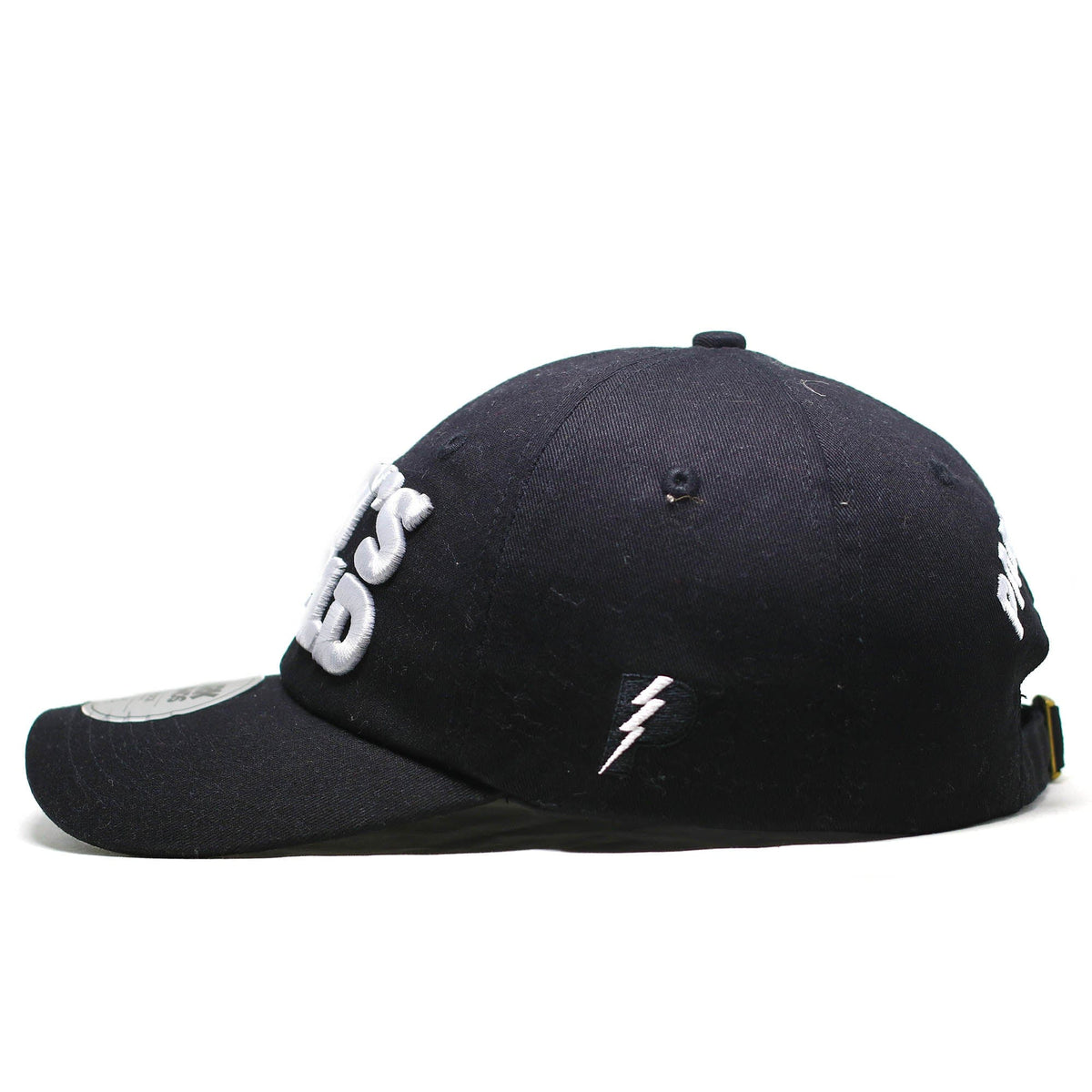 Walt's World- Dad Hat
