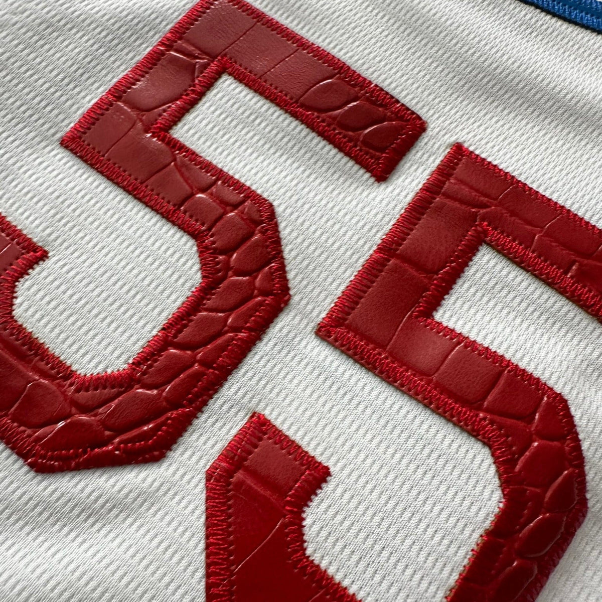 Hometown Dsnyland  Baseball Jersey- Crocodile Skin