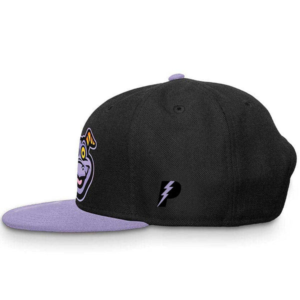 Dreamfinders (Black/Purple) - Snapback