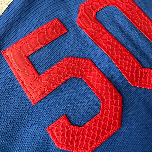 Hometown LAD Blue Jersey - Animal Skin