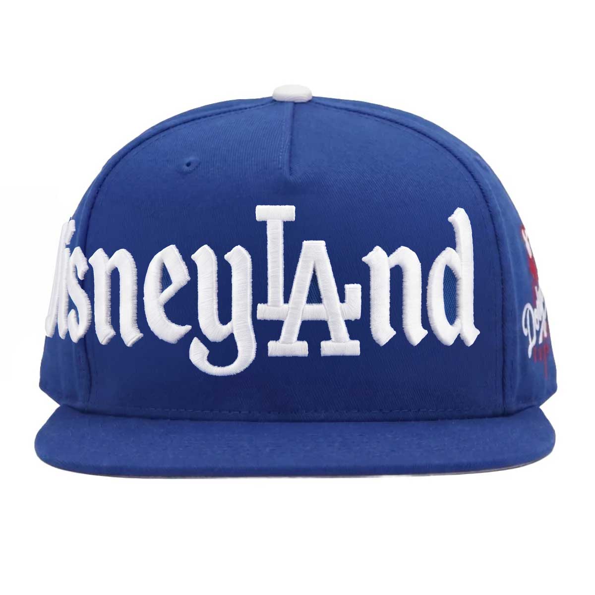 Dsnyland Snapback - (Pre-Order)