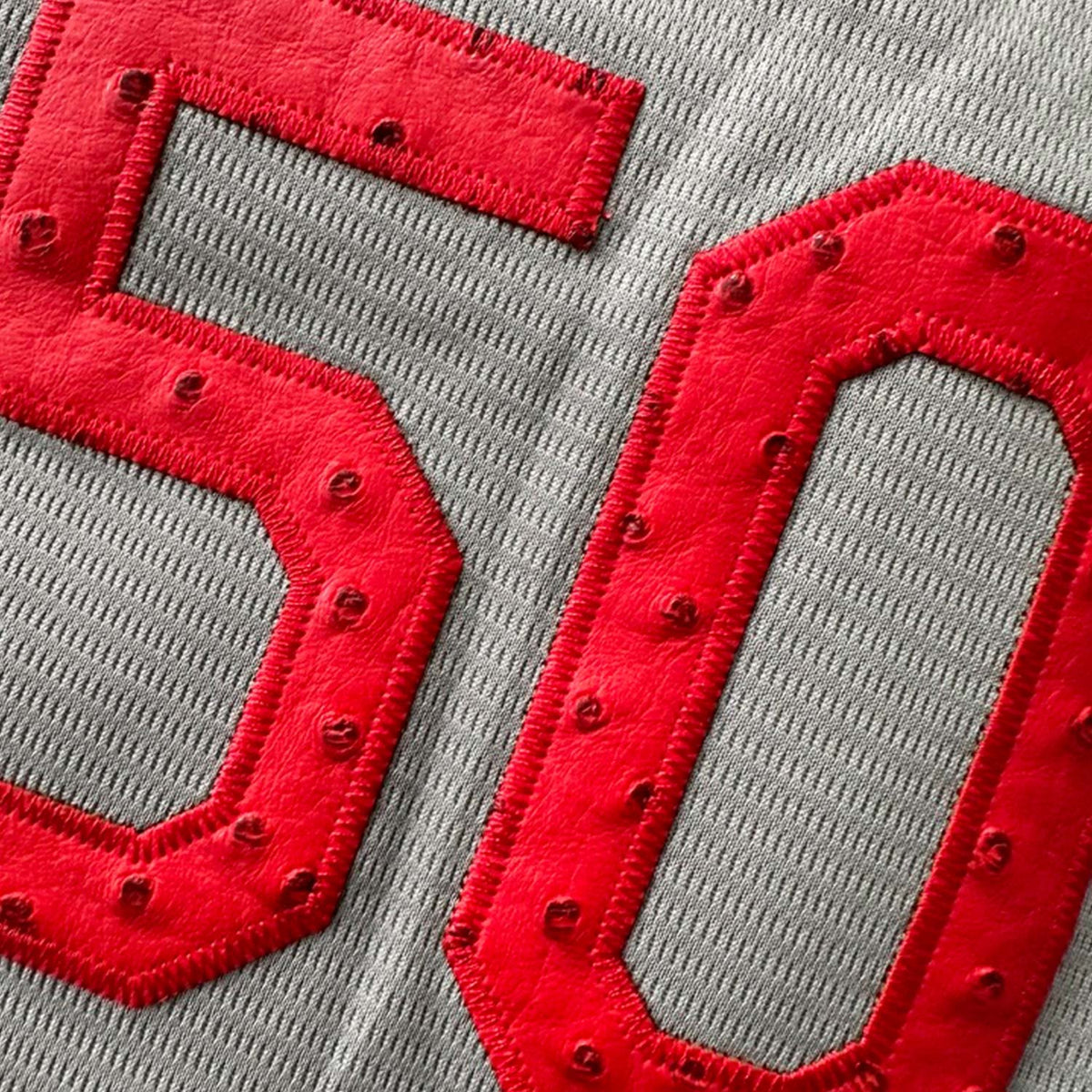 Hometown Dsnyland Baseball Cream Jersey- Animal Skin